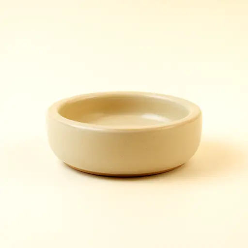 Ceramic Soap Dish