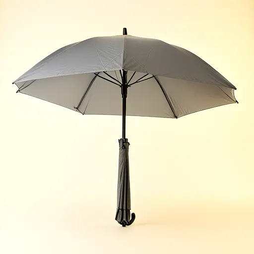 Compact Umbrella Foldable